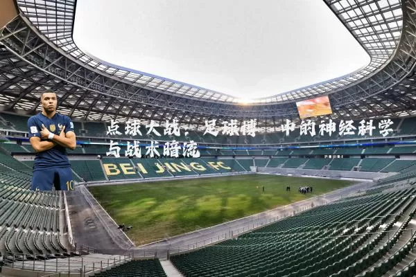 点球大战：足球博弈中的神经科学与战术暗流
